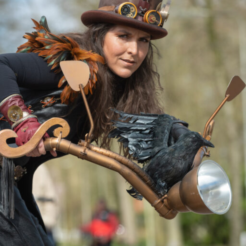 The Rolling Amazones 