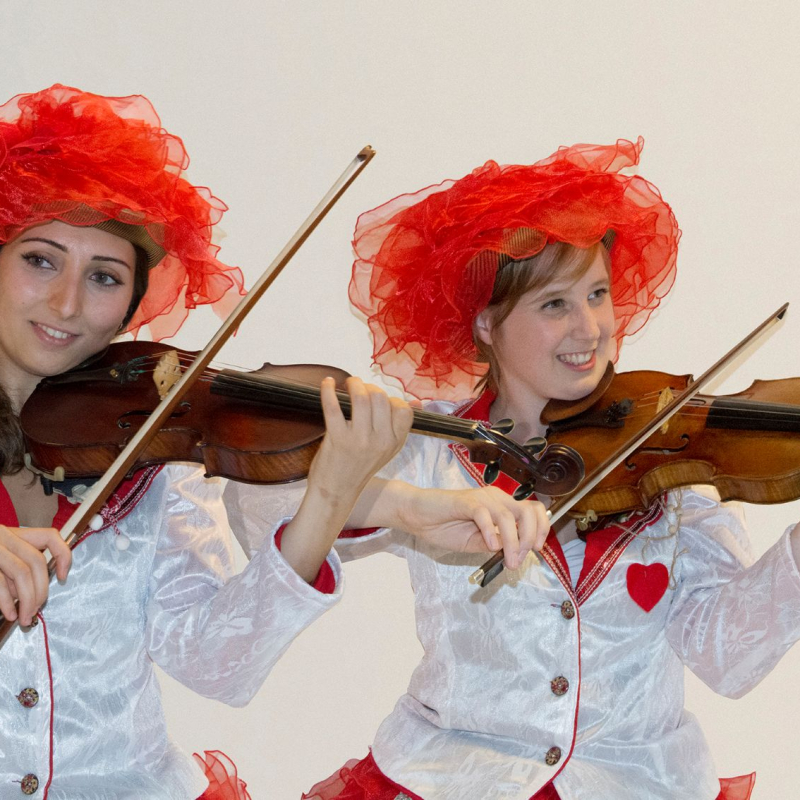 The Fiddle Fairies