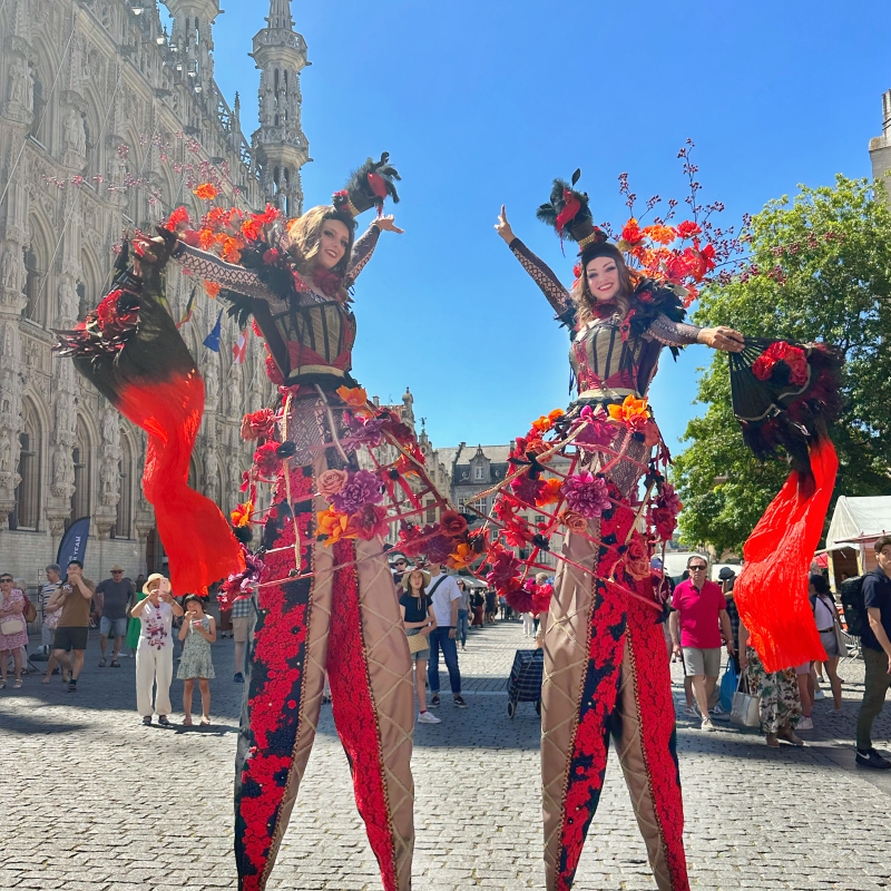 Steltenact Cirque Du Chic