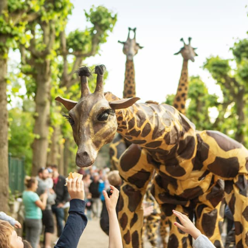 Steltenact Giraffe