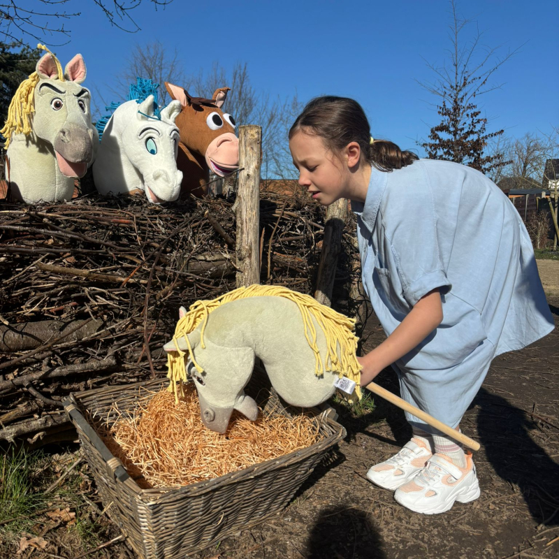 Manege het stokpaardje