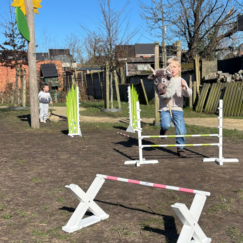 Manege het stokpaardje