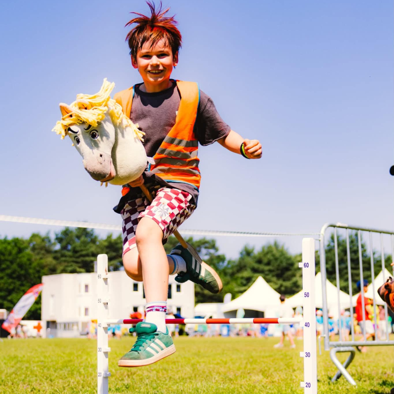 Manege het stokpaardje