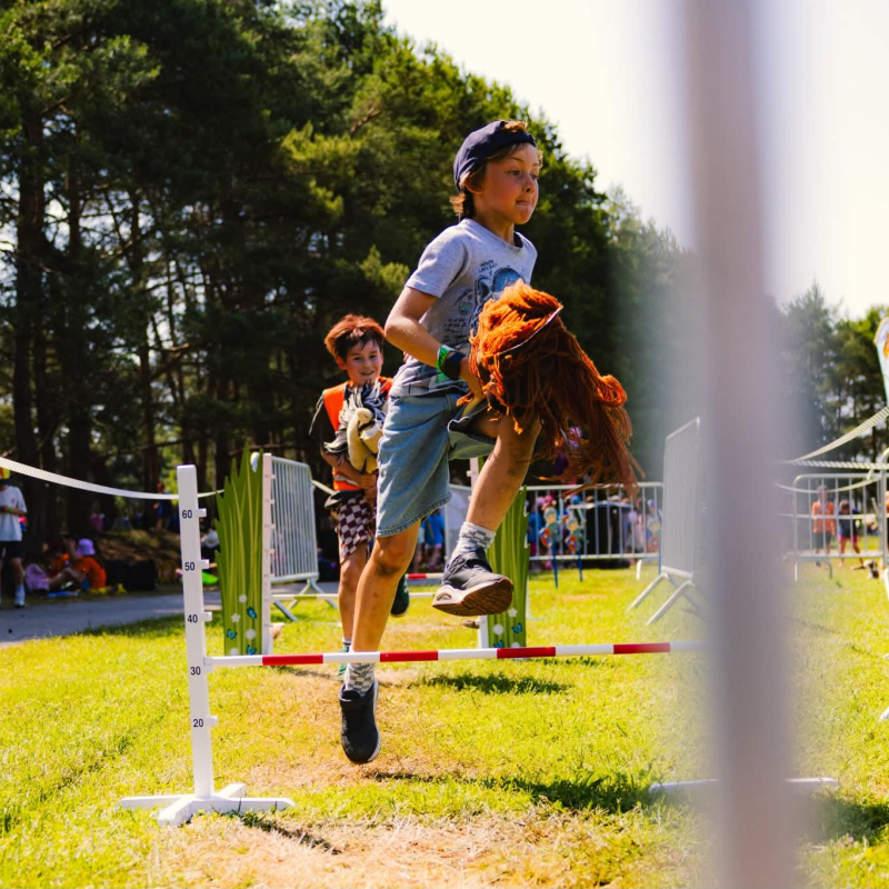 Manege het stokpaardje